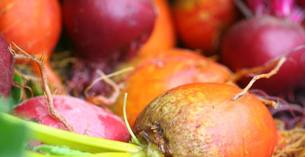 summer-radishes